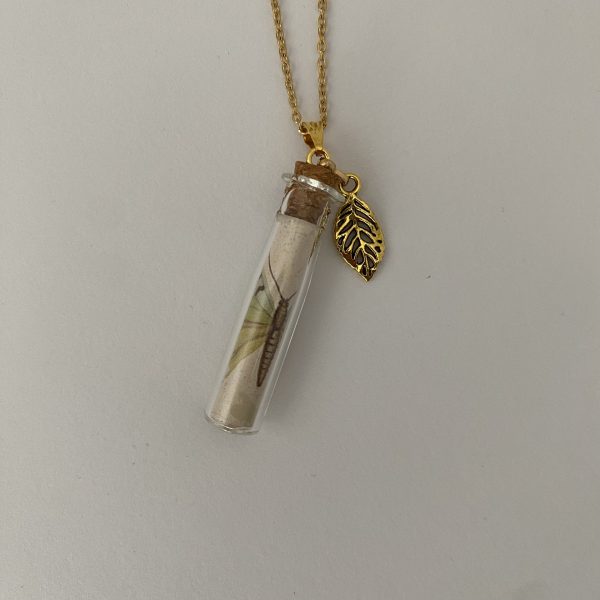 Glass Vial Necklace with Parchment - Image 2